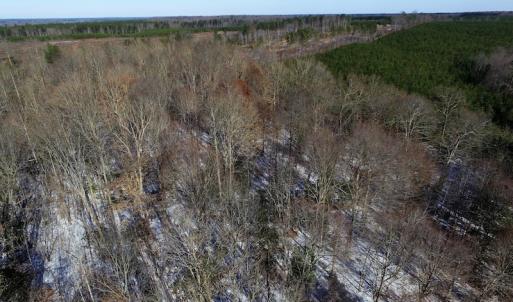 Photo of UNDER CONTRACT!  7.73 acres of Residential and Hunting Land For Sale in Dinwiddie County VA!