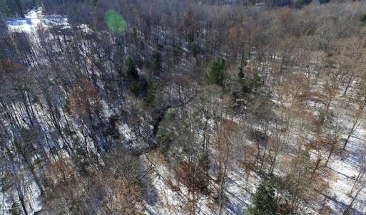 Photo of UNDER CONTRACT!  7.73 acres of Residential and Hunting Land For Sale in Dinwiddie County VA!