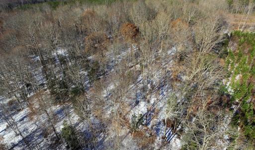 Photo of UNDER CONTRACT!  7.73 acres of Residential and Hunting Land For Sale in Dinwiddie County VA!