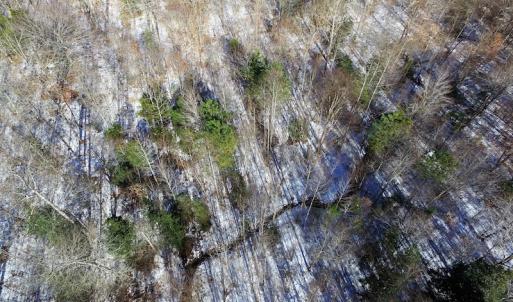 Photo of UNDER CONTRACT!  7.73 acres of Residential and Hunting Land For Sale in Dinwiddie County VA!