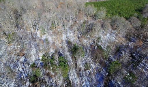 Photo of UNDER CONTRACT!  7.73 acres of Residential and Hunting Land For Sale in Dinwiddie County VA!