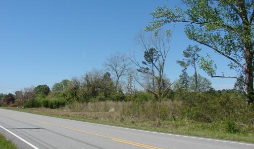 Photo of UNDER CONTRACT!  64.37 Acres of Farm and Hunting Land For Sale in Brunswick County NC!