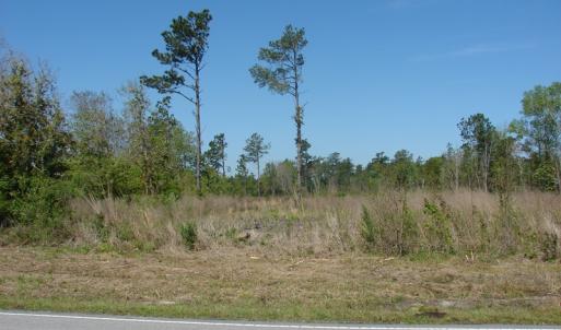 Photo of UNDER CONTRACT!  64.37 Acres of Farm and Hunting Land For Sale in Brunswick County NC!