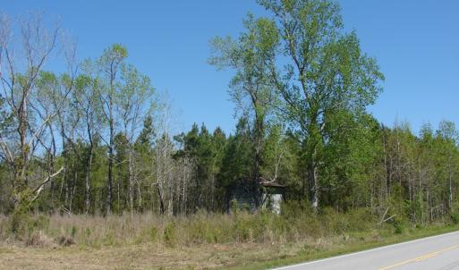 Photo of UNDER CONTRACT!  64.37 Acres of Farm and Hunting Land For Sale in Brunswick County NC!