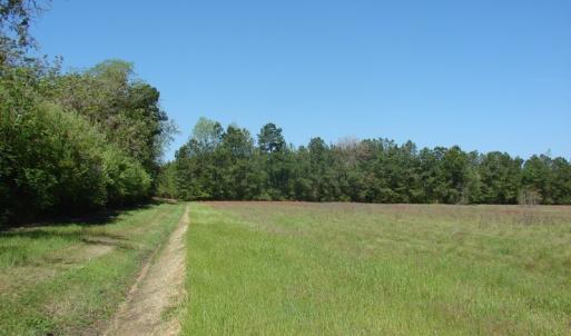 Photo of UNDER CONTRACT!  64.37 Acres of Farm and Hunting Land For Sale in Brunswick County NC!