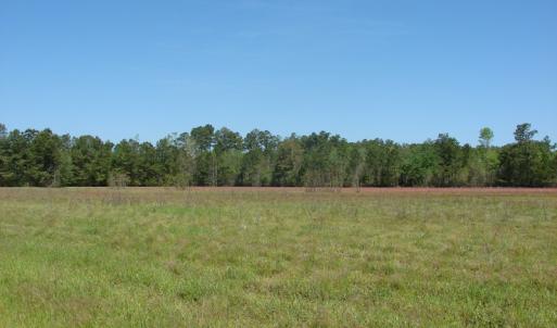 Photo of UNDER CONTRACT!  64.37 Acres of Farm and Hunting Land For Sale in Brunswick County NC!