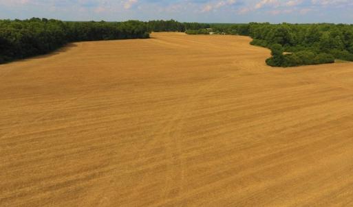 Photo of UNDER CONTRACT!  36.69 Acres of Farm and Timber Land For Sale In Edgecombe County NC!