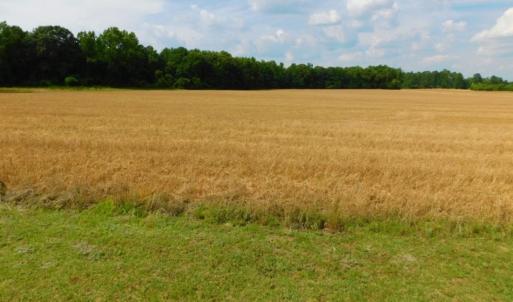 Photo of UNDER CONTRACT!  36.69 Acres of Farm and Timber Land For Sale In Edgecombe County NC!