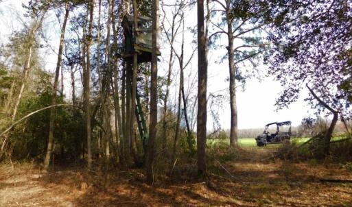 Photo of UNDER CONTRACT!  36.69 Acres of Farm and Timber Land For Sale In Edgecombe County NC!