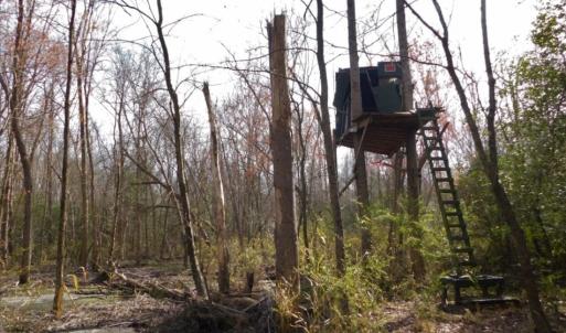 Photo of UNDER CONTRACT!  36.69 Acres of Farm and Timber Land For Sale In Edgecombe County NC!