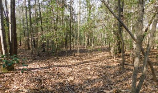 Photo of UNDER CONTRACT!  36.69 Acres of Farm and Timber Land For Sale In Edgecombe County NC!