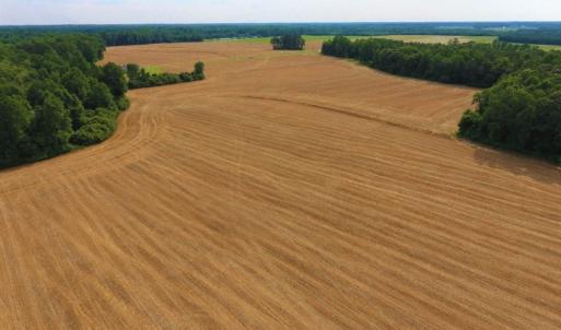 Photo of UNDER CONTRACT!  36.69 Acres of Farm and Timber Land For Sale In Edgecombe County NC!
