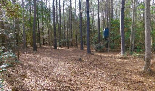 Photo of UNDER CONTRACT!  36.69 Acres of Farm and Timber Land For Sale In Edgecombe County NC!