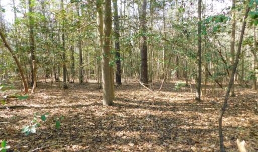 Photo of UNDER CONTRACT!  36.69 Acres of Farm and Timber Land For Sale In Edgecombe County NC!