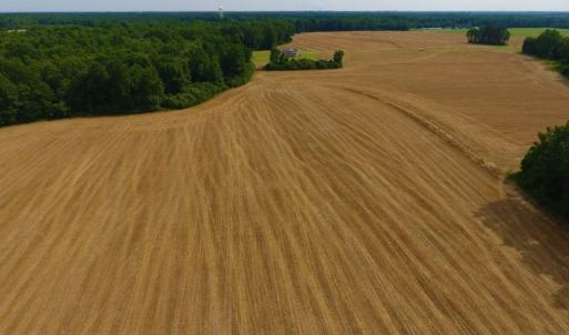 Photo of UNDER CONTRACT!  36.69 Acres of Farm and Timber Land For Sale In Edgecombe County NC!
