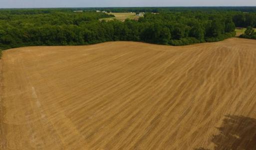 Photo of UNDER CONTRACT!  36.69 Acres of Farm and Timber Land For Sale In Edgecombe County NC!