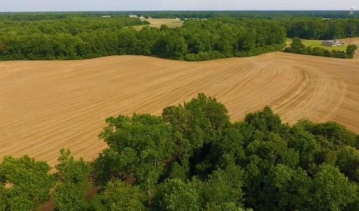 Photo of UNDER CONTRACT!  36.69 Acres of Farm and Timber Land For Sale In Edgecombe County NC!