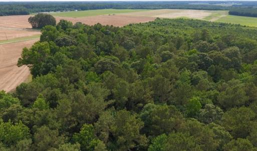 Photo of UNDER CONTRACT!  36.69 Acres of Farm and Timber Land For Sale In Edgecombe County NC!