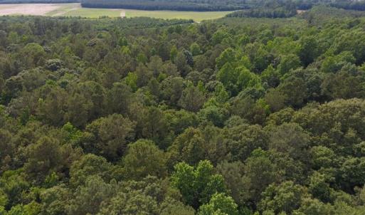Photo of UNDER CONTRACT!  36.69 Acres of Farm and Timber Land For Sale In Edgecombe County NC!