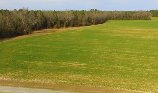 Photo of UNDER CONTRACT!  36.69 Acres of Farm and Timber Land For Sale In Edgecombe County NC!