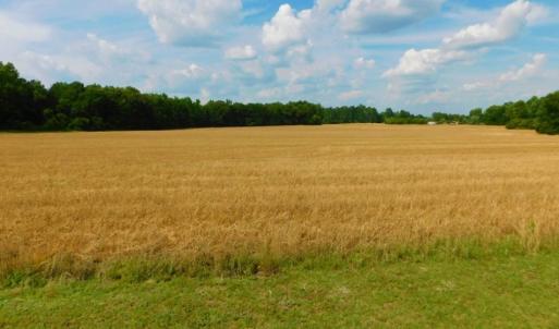 Photo of UNDER CONTRACT!  10.31 Acres of Residential and Farm Land For Sale in Edgecombe County NC!