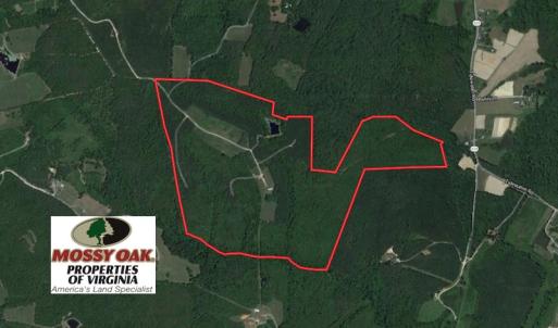 Photo of SOLD!  170 Acres of Recreational Hunting Land For Sale in Charlotte County VA!