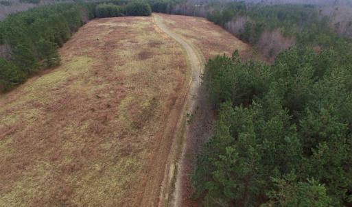 Photo of SOLD!  170 Acres of Recreational Hunting Land For Sale in Charlotte County VA!