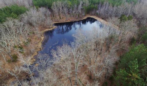 Photo of SOLD!  170 Acres of Recreational Hunting Land For Sale in Charlotte County VA!