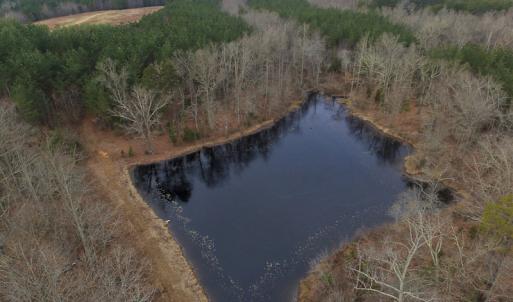 Photo of SOLD!  170 Acres of Recreational Hunting Land For Sale in Charlotte County VA!