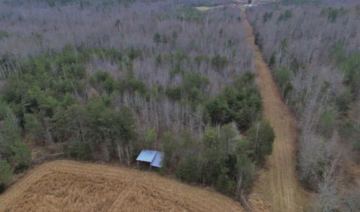 Photo of SOLD!  170 Acres of Recreational Hunting Land For Sale in Charlotte County VA!
