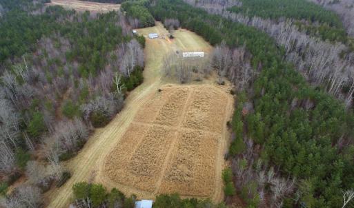 Photo of SOLD!  170 Acres of Recreational Hunting Land For Sale in Charlotte County VA!