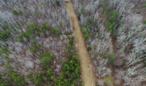 Photo of SOLD!  170 Acres of Recreational Hunting Land For Sale in Charlotte County VA!