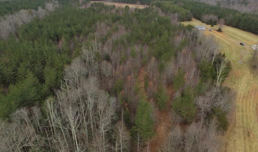 Photo of SOLD!  170 Acres of Recreational Hunting Land For Sale in Charlotte County VA!