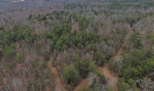 Photo of SOLD!  170 Acres of Recreational Hunting Land For Sale in Charlotte County VA!