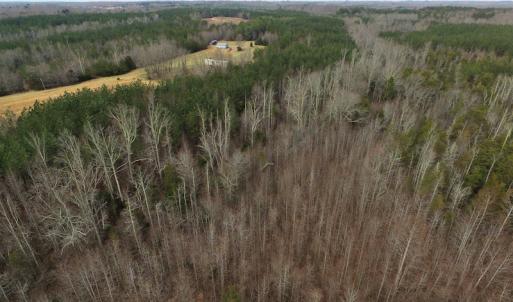 Photo of SOLD!  170 Acres of Recreational Hunting Land For Sale in Charlotte County VA!