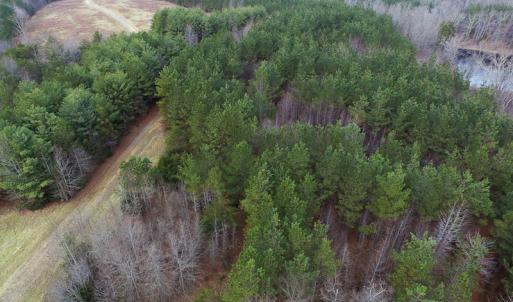 Photo of SOLD!  170 Acres of Recreational Hunting Land For Sale in Charlotte County VA!