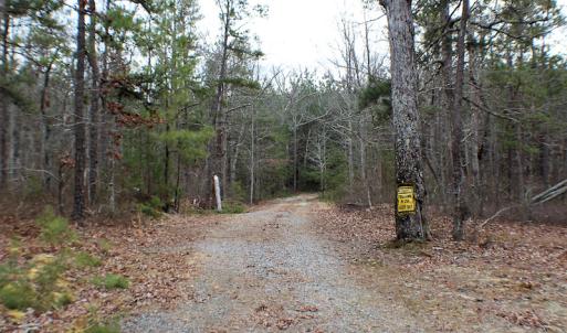 Photo of SOLD!  170 Acres of Recreational Hunting Land For Sale in Charlotte County VA!