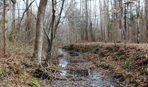 Photo of SOLD!  170 Acres of Recreational Hunting Land For Sale in Charlotte County VA!