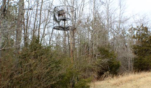 Photo of SOLD!  170 Acres of Recreational Hunting Land For Sale in Charlotte County VA!