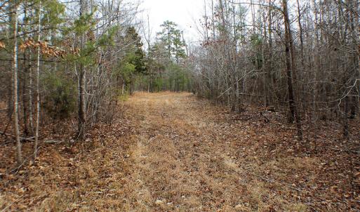Photo of SOLD!  170 Acres of Recreational Hunting Land For Sale in Charlotte County VA!