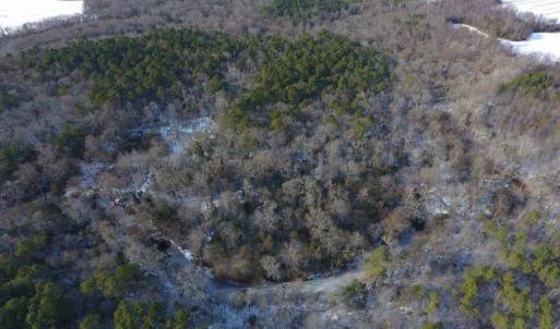 Photo of UNDER CONTRACT!  25.25 Acres of Creek Front Hunting Land For Sale in Edgecombe County NC!