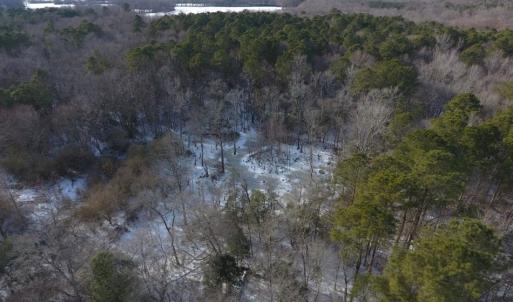 Photo of UNDER CONTRACT!  25.25 Acres of Creek Front Hunting Land For Sale in Edgecombe County NC!