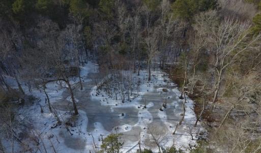 Photo of UNDER CONTRACT!  25.25 Acres of Creek Front Hunting Land For Sale in Edgecombe County NC!