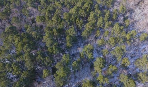 Photo of UNDER CONTRACT!  25.25 Acres of Creek Front Hunting Land For Sale in Edgecombe County NC!