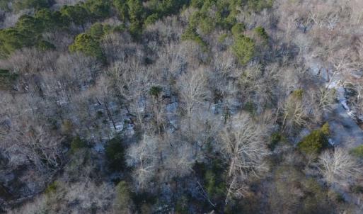 Photo of UNDER CONTRACT!  25.25 Acres of Creek Front Hunting Land For Sale in Edgecombe County NC!