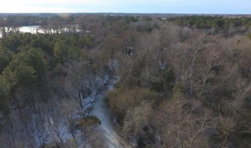 Photo of UNDER CONTRACT!  25.25 Acres of Creek Front Hunting Land For Sale in Edgecombe County NC!