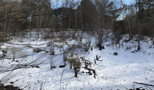 Photo of UNDER CONTRACT!  25.25 Acres of Creek Front Hunting Land For Sale in Edgecombe County NC!
