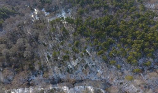Photo of UNDER CONTRACT!  25.25 Acres of Creek Front Hunting Land For Sale in Edgecombe County NC!