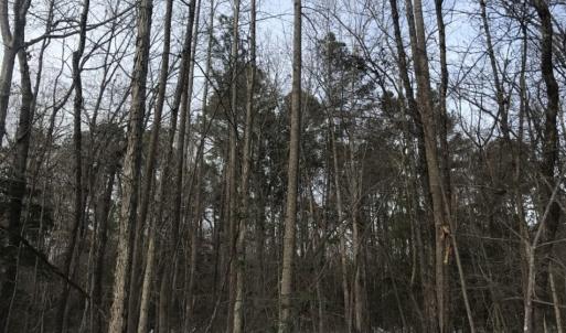 Photo of UNDER CONTRACT!  25.25 Acres of Creek Front Hunting Land For Sale in Edgecombe County NC!