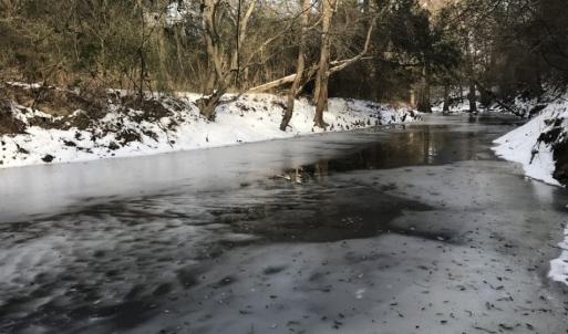 Photo of UNDER CONTRACT!  25.25 Acres of Creek Front Hunting Land For Sale in Edgecombe County NC!